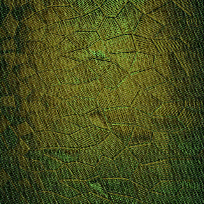 Round Patterned Dark Forest Green Rug, pat738grn