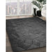 Machine Washable Transitional Charcoal Black Rug in a Family Room, wshpat738gry