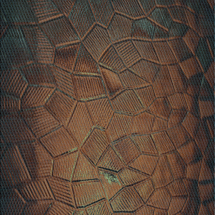 Patterned Red Rug, pat738lblu