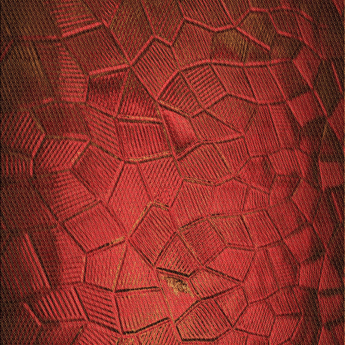 Patterned Tomato Red Rug, pat738org