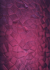 Machine Washable Transitional Medium Violet Red Pink Rug, wshpat738pur