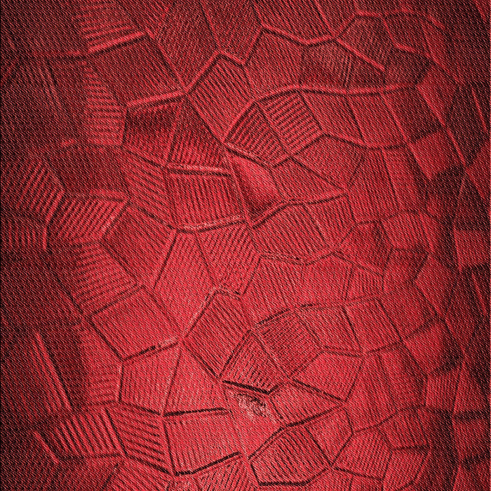 Patterned Red Rug, pat738rd