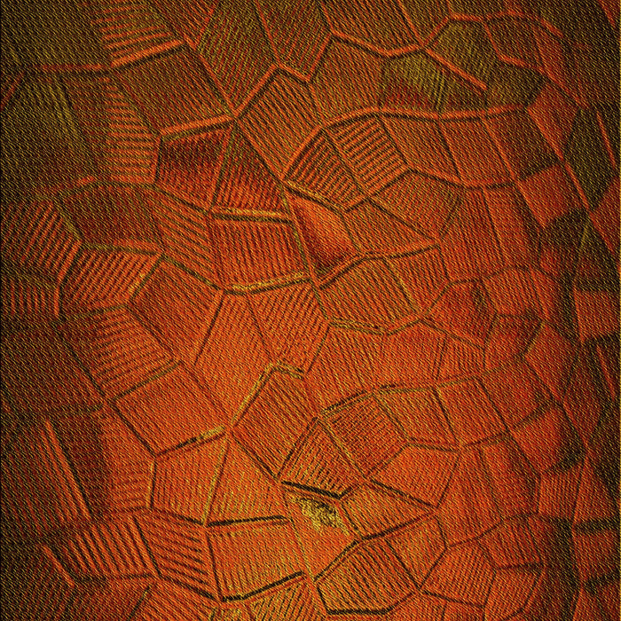 Patterned Mahogany Brown Rug, pat738yw