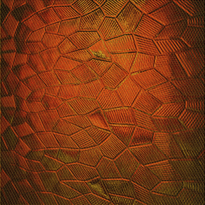 Round Patterned Mahogany Brown Rug, pat738yw