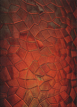 Machine Washable Transitional Crimson Red Rug, wshpat738