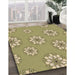Patterned Metallic Gold Rug in Family Room, pat746brn