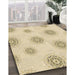 Patterned Golden Blonde Gold Rug in Family Room, pat747brn