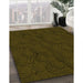 Machine Washable Transitional Dark Bronze Brown Rug in a Family Room, wshpat756yw