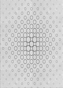 Patterned Dark Gray Novelty Rug, pat759