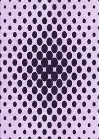 Machine Washable Transitional Purple Rug, wshpat761pur