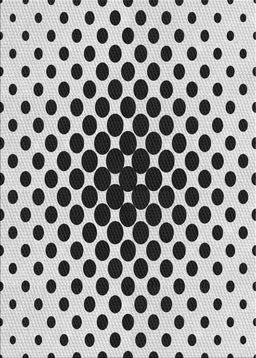 Patterned Light Black Novelty Rug, pat761