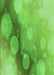 Machine Washable Transitional Emerald Green Rug, wshpat762grn