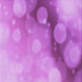 Round Machine Washable Transitional Violet Purple Rug, wshpat762pur