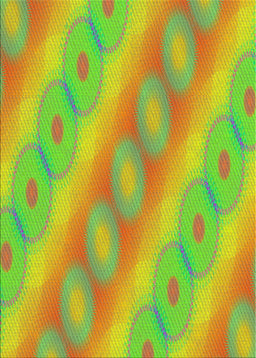 Machine Washable Transitional Dark Golden Brown Rug, wshpat764