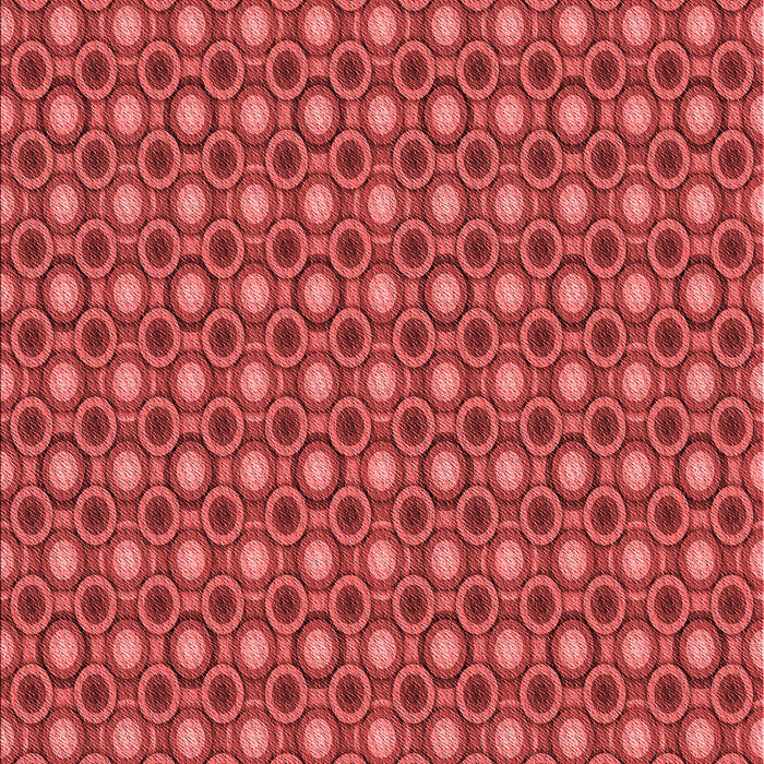 Machine Washable Transitional Red Rug, wshpat765rd