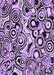 Machine Washable Transitional Purple Rug, wshpat769pur