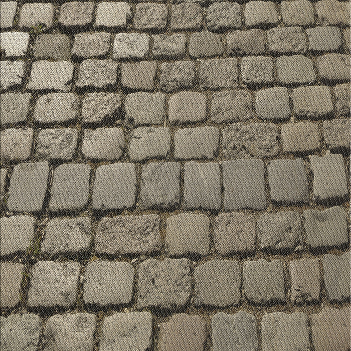 Patterned Chocolate Brown Novelty Rug, pat780