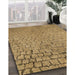 Machine Washable Transitional Light Brown Rug in a Family Room, wshpat781brn