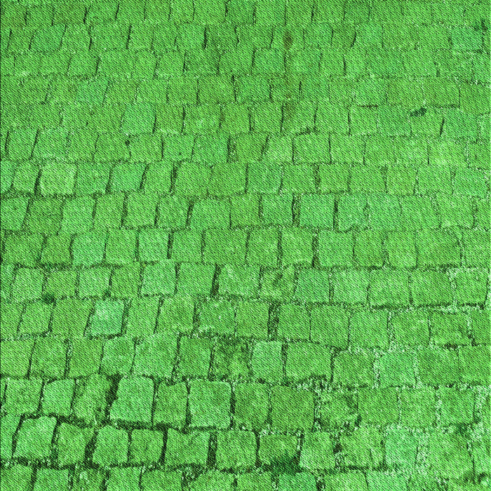 Patterned Neon Green Rug, pat781grn