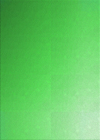 Machine Washable Transitional Neon Green Rug, wshpat784grn