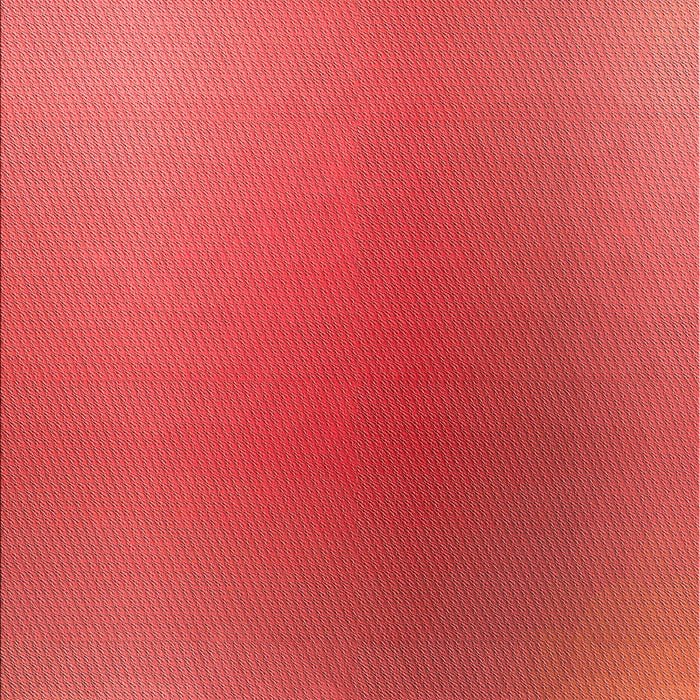 Machine Washable Transitional Red Rug, wshpat785rd