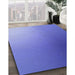 Machine Washable Transitional Purple Mimosa Purple Rug in a Family Room, wshpat788blu