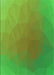 Machine Washable Transitional Dark Lime Green Rug, wshpat792grn