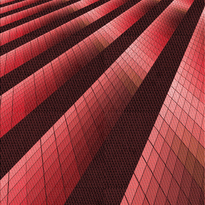 Patterned Red Rug, pat796rd