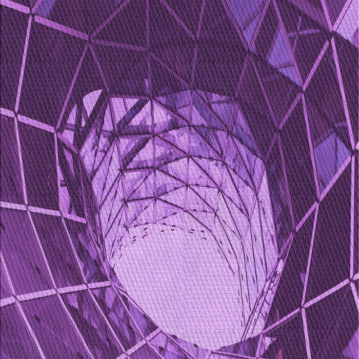 Machine Washable Transitional Purple Rug, wshpat80pur