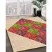 Machine Washable Transitional Red Rug in a Family Room, wshpat805org