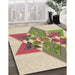 Machine Washable Transitional Khaki Gold Rug in a Family Room, wshpat806brn