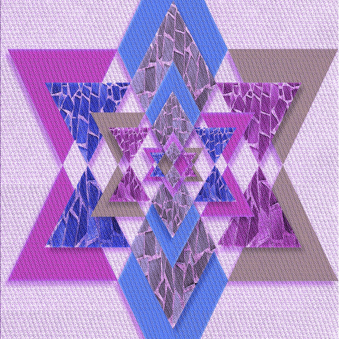 Machine Washable Transitional Blossom Pink Rug, wshpat806pur