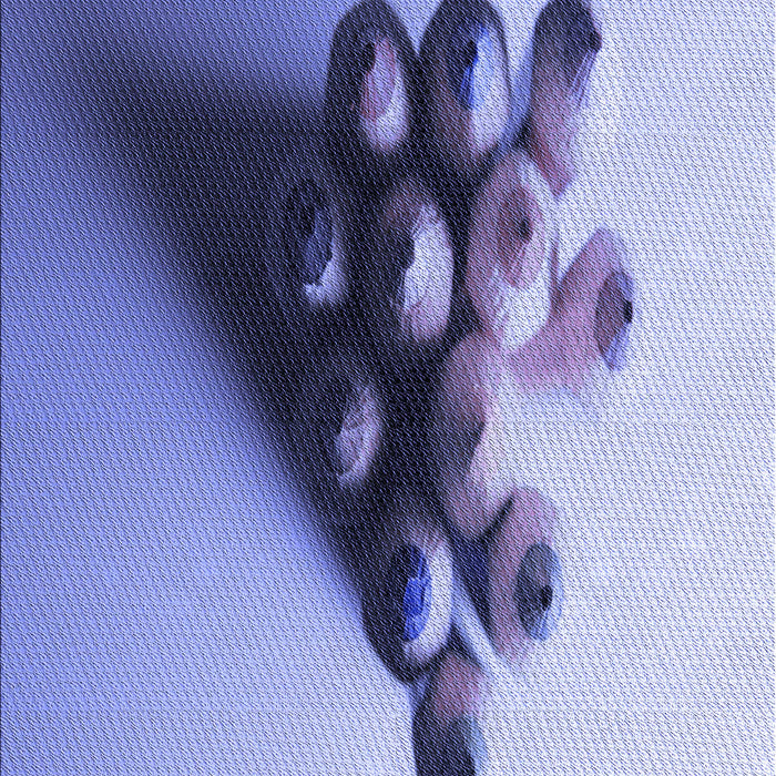 Machine Washable Transitional Slate Blue Rug, wshpat808blu