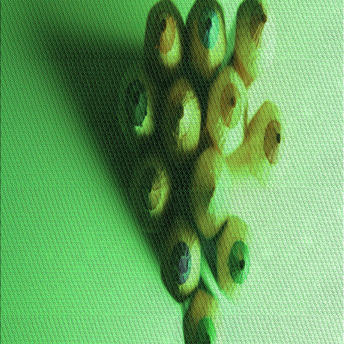 Patterned Green Rug, pat808grn