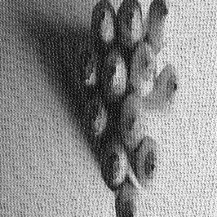 Machine Washable Transitional Carbon Gray Rug, wshpat808gry