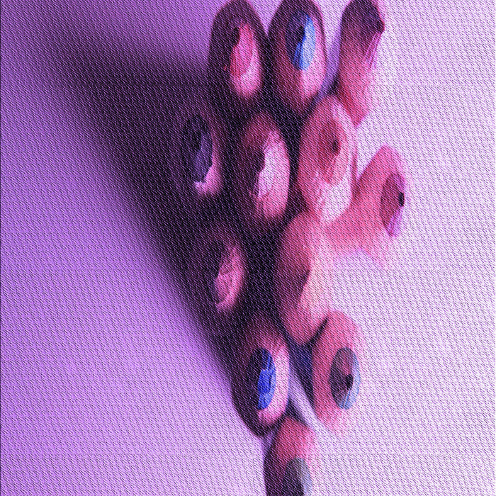 Patterned Dark Orchid Purple Rug, pat808pur