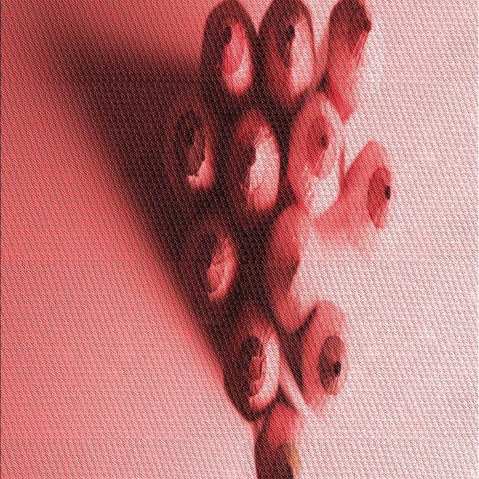 Machine Washable Transitional Pastel Pink Rug, wshpat808rd