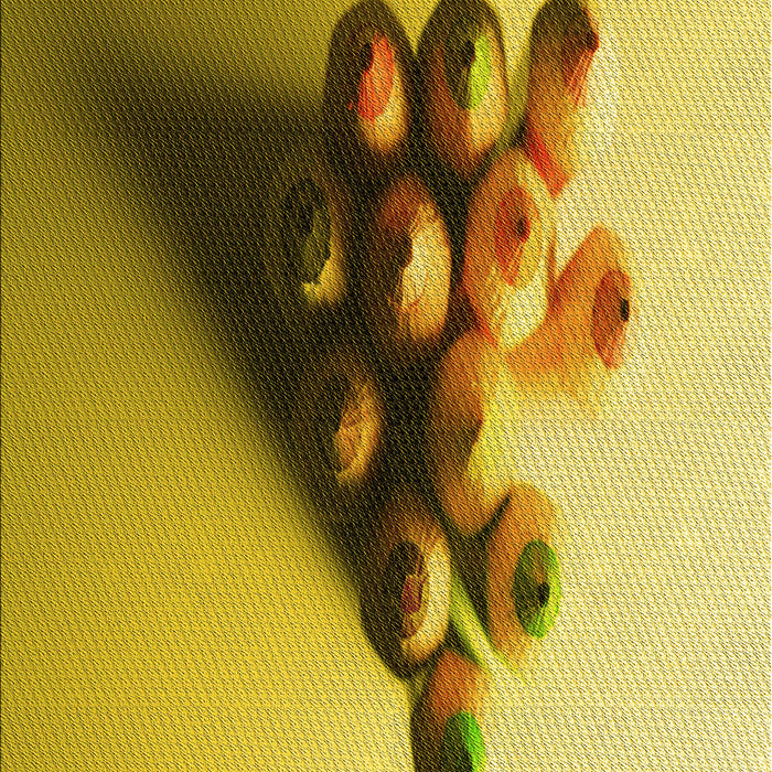 Machine Washable Transitional Bright Gold Yellow Rug, wshpat808yw