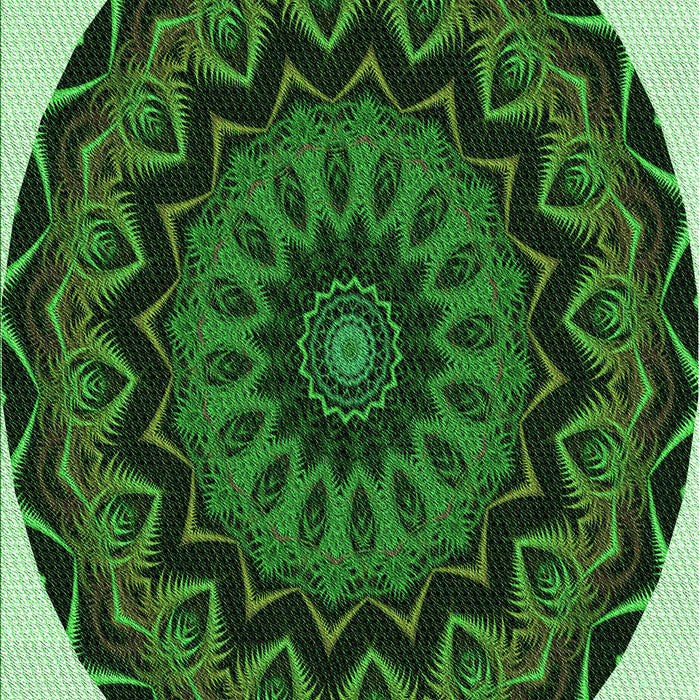 Machine Washable Transitional Dark Forest Green Rug, wshpat821grn