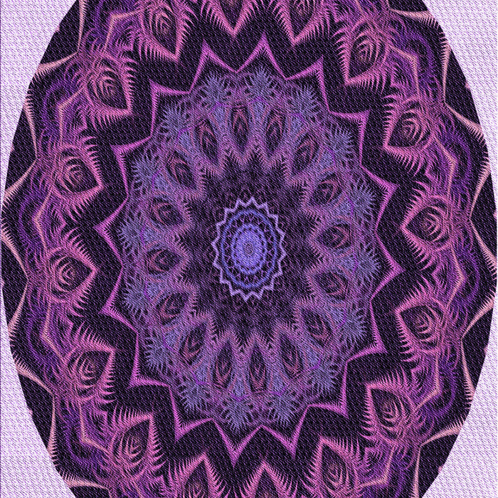 Machine Washable Transitional Orchid Purple Rug, wshpat821pur