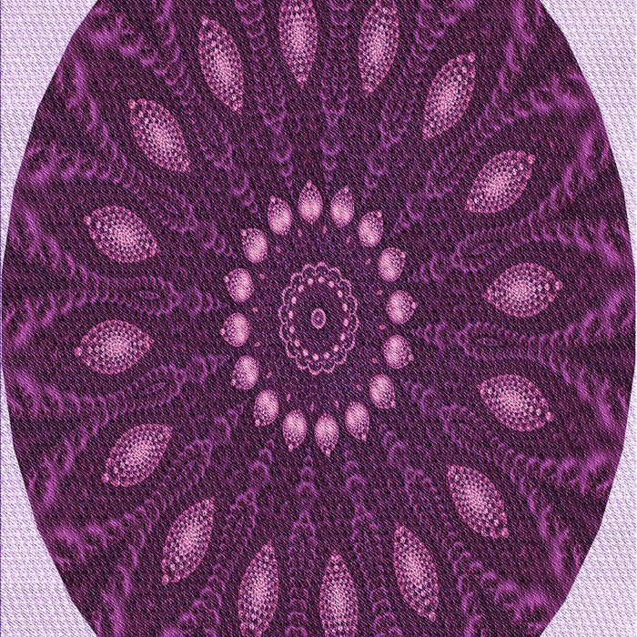 Machine Washable Transitional Orchid Purple Rug, wshpat822pur