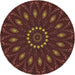 Sideview of Patterned Red Novelty Rug, pat822