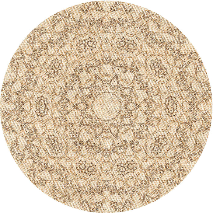 Square Machine Washable Transitional Peru Brown Rug in a Living Room, wshpat823org