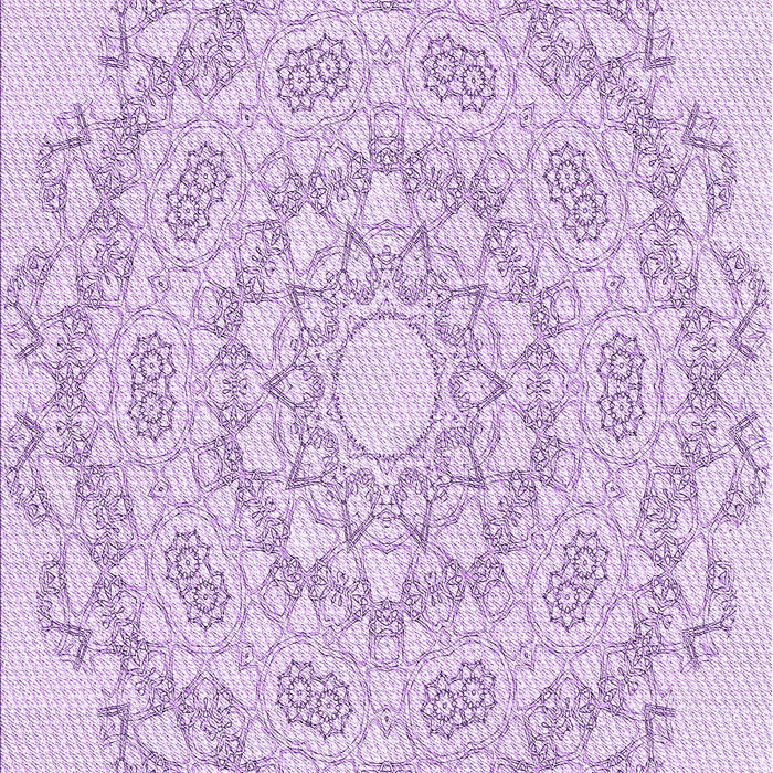 Machine Washable Transitional Purple Rug, wshpat823pur