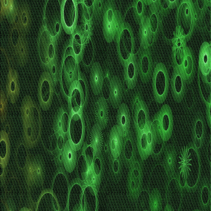 Patterned Green Rug, pat824grn