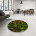 Round Patterned Olive Green Rug in a Office, pat824yw