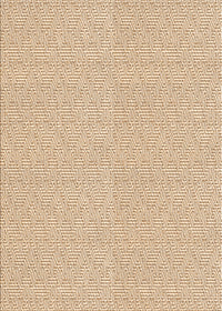 Machine Washable Transitional Bronze Brown Rug, wshpat827org