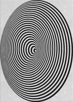 Machine Washable Transitional Platinum Gray Rug, wshpat830