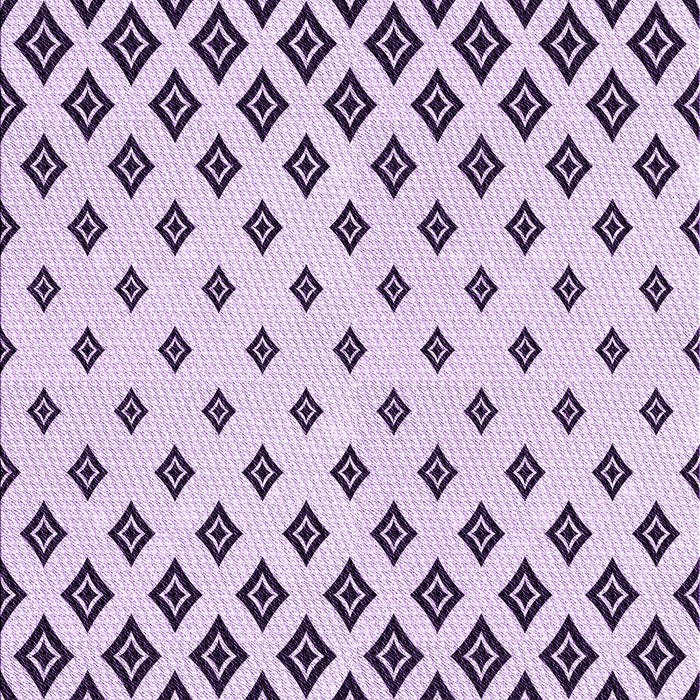 Machine Washable Transitional Purple Rug, wshpat833pur