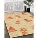 Machine Washable Transitional Orange Rug in a Family Room, wshpat835org